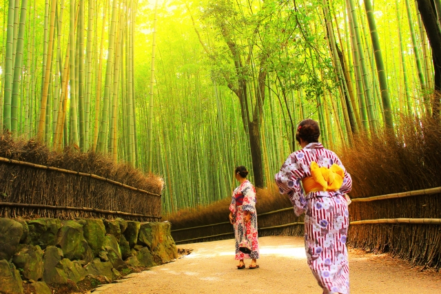 浴衣を着た女性たちが竹林の中を歩いている